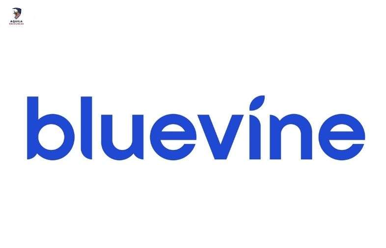 Bluevine 1